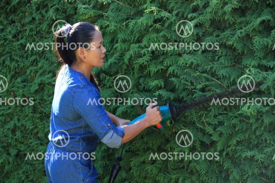 hedge-cutter