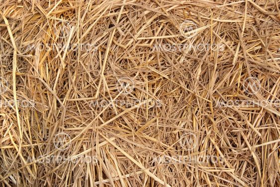 Straw texture background