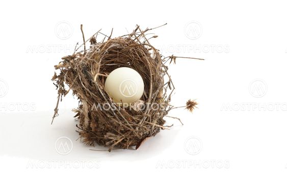 Small bird nest with ping-pong ball instead of egg isolated