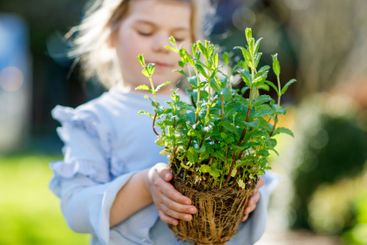 Adorable little toddler girl holding garden shovel with...