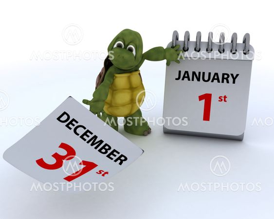 tortoise with a calendar