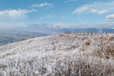 Winter coming. Picturesque moody morning scene in late...