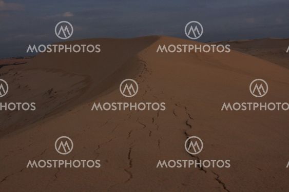 Morning in the desert