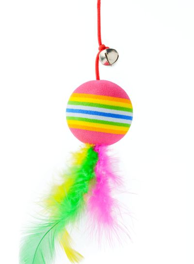 Cat toys isolated on white background studio shot