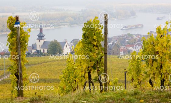 Oppenheim, Rheingau, Germany