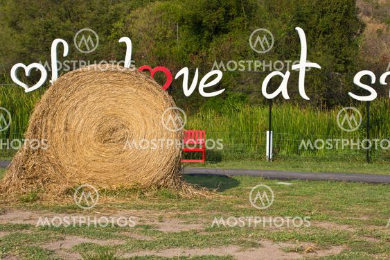 circle straw2