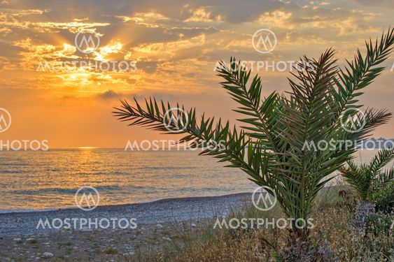 Solnedgang over havet