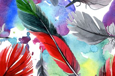 Colorful bird feather from wing isolated. Watercolour...