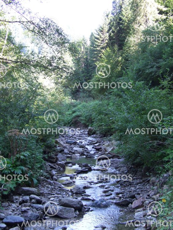 Small river at Costesti, Romania