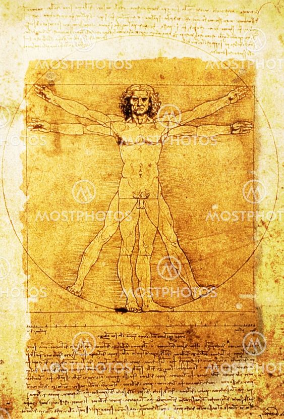 Leonardo's Vitruvian Man old parchment