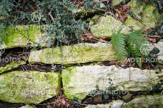 Stonewall