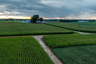 Endless Green Fields Under a Dramatic Sky at Dusk Near a...