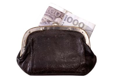 Swedish kronor and purse