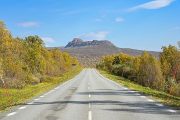 Vägen genom höstlandskapet