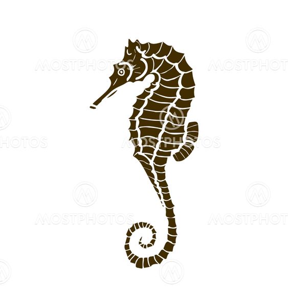 vector illustration of silhuette of seahorse. Seahorse...