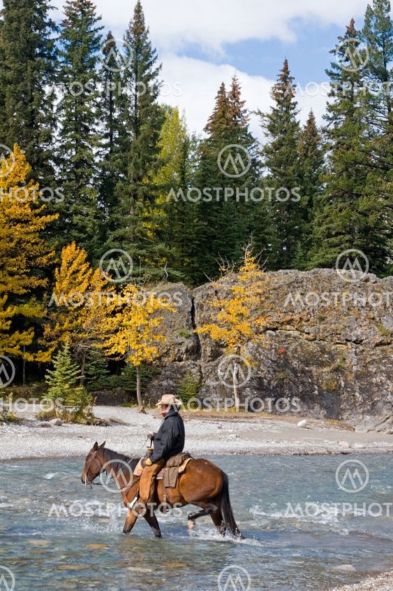 Horseback Rider