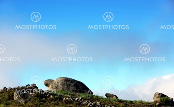 Natural sculpture of turtle, Castro Laboreiro, Portugal.