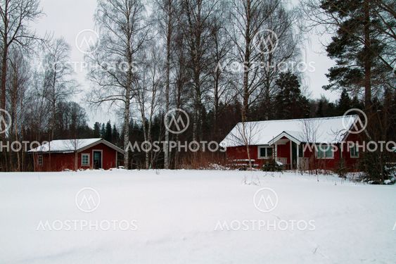 Summer Cottage