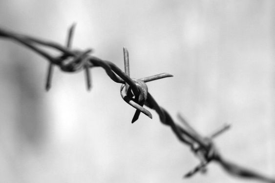 Barbed Wire