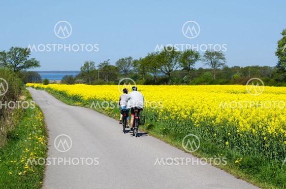 Cyclists in a spring colored landscape