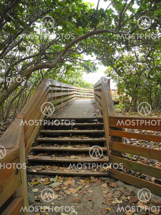 The Path to the B