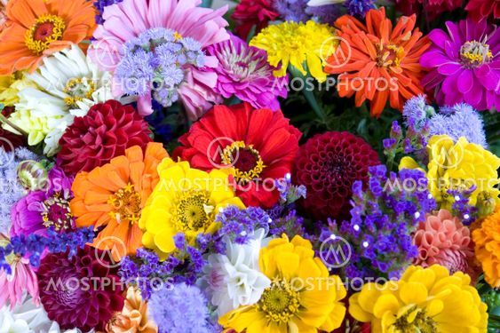 colorful bunch of flowers