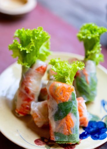 Fresh spring rolls on a plate