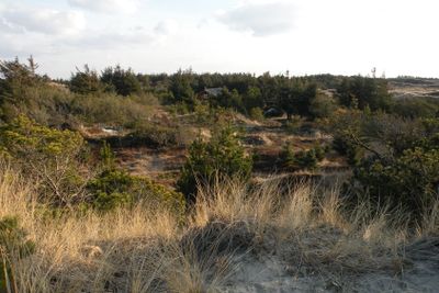 dune landscape with summer house far away
