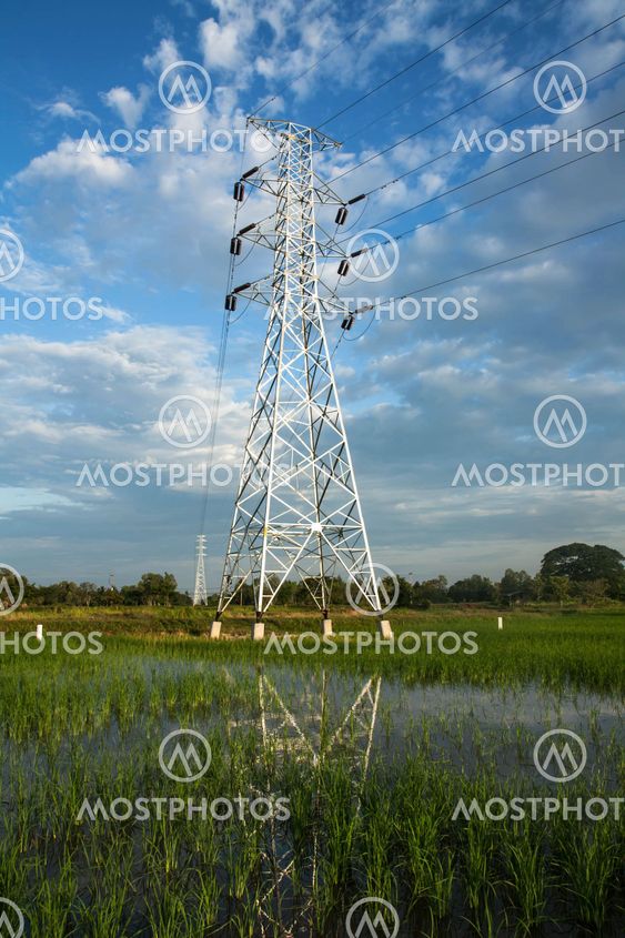 High voltage pylon in paddy