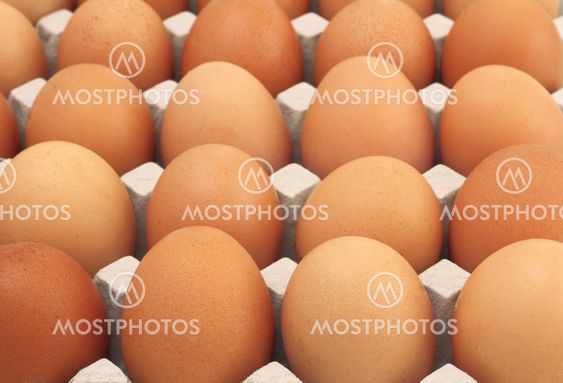 Chicken Eggs row pattern background