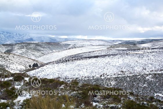 winter landscape