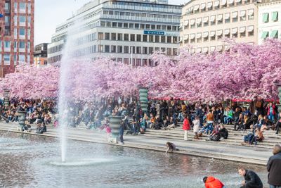 People visiting Garden of King, Kungstradgarden in...