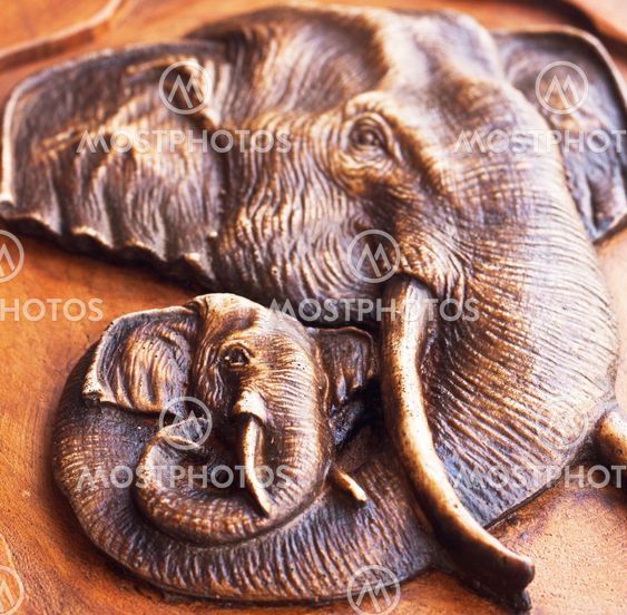 The two elephants head on a piece of wood.