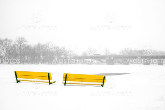 Benches in winter