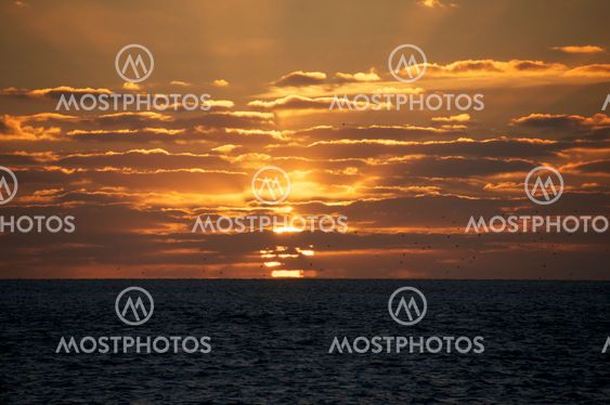 Sunset in key west