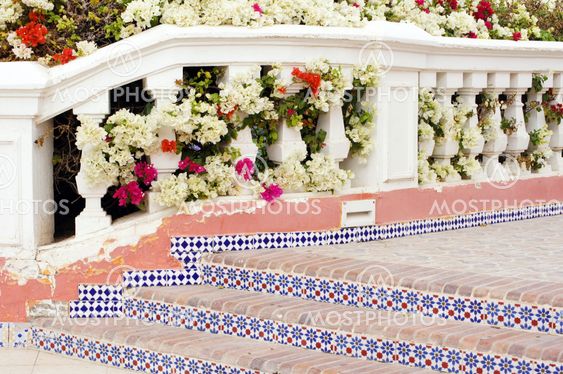 Bougainvillea and stairs