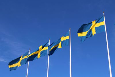 Svenska flaggor mot blå himmel