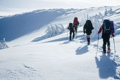 Travelers climbing Gorgany mountains in deep snow