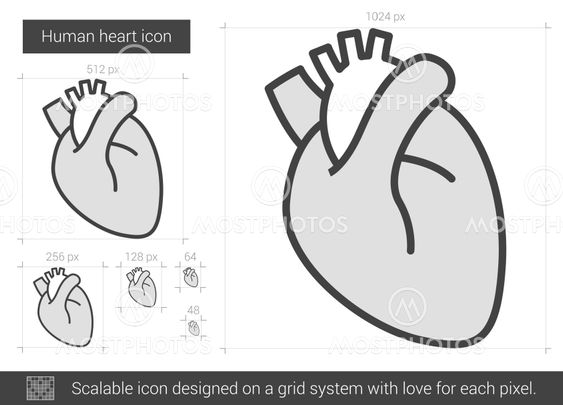 Human heart line icon.