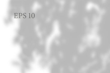 Transparent natural plant shadow. Light effect overlay....