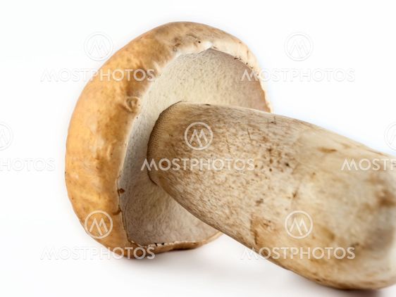 Brown Mushroom