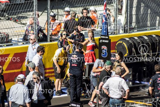 Team red bull on the grid.