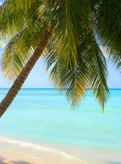 tropical Caribbean beach