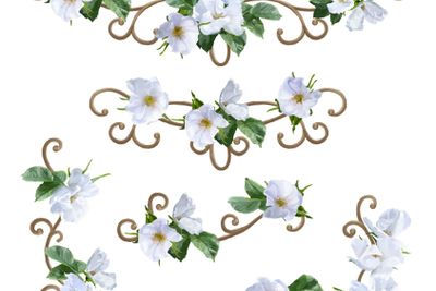 Watercolor Flower Border