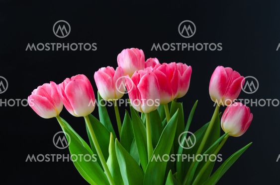 Beautiful bunch with pink tulips