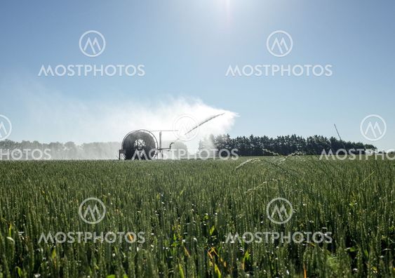 Irrigation pivot watering the Fields