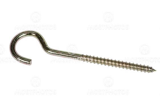 Screw with loop, isolated on white background