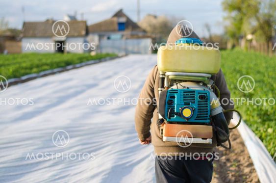 A farmer with a mist sprayer on his back walks through...