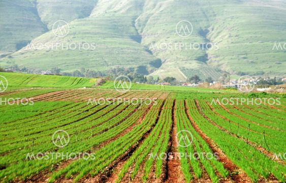 Agriculture