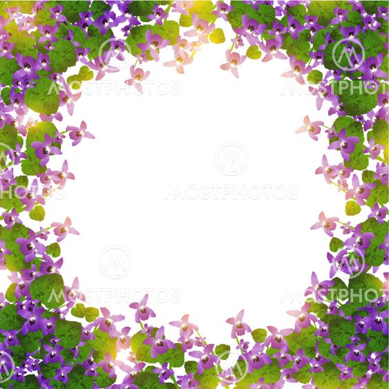 border of wild violet
